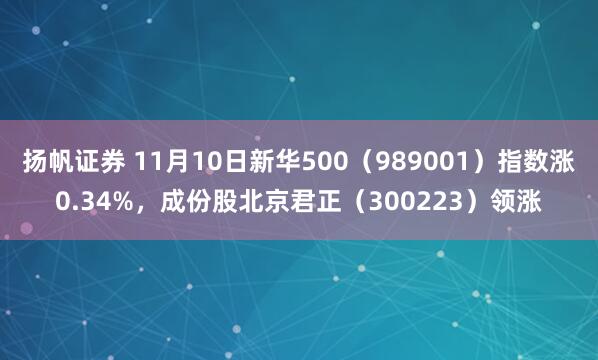 扬帆证券 11月10日新华500（989001）指数涨0.34%，成份股北京君正（300223）领涨