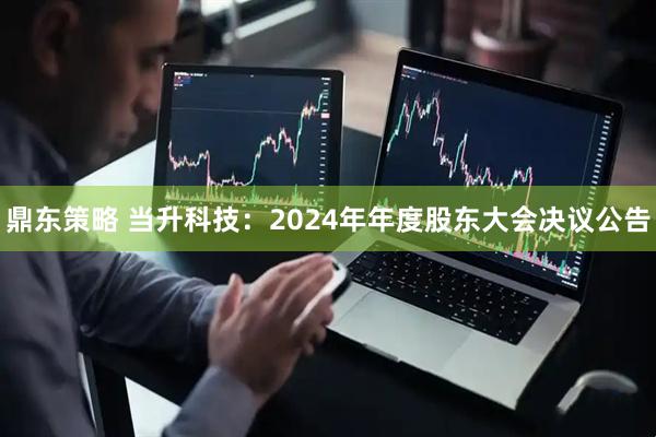 鼎东策略 当升科技：2024年年度股东大会决议公告