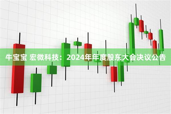 牛宝宝 宏微科技：2024年年度股东大会决议公告