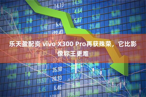 乐天盈配资 vivo X300 Pro再获殊荣,它比影像称王更难